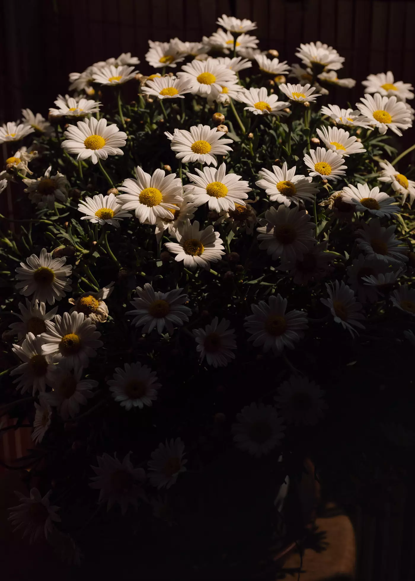 © Matthias Oertel portfolio image