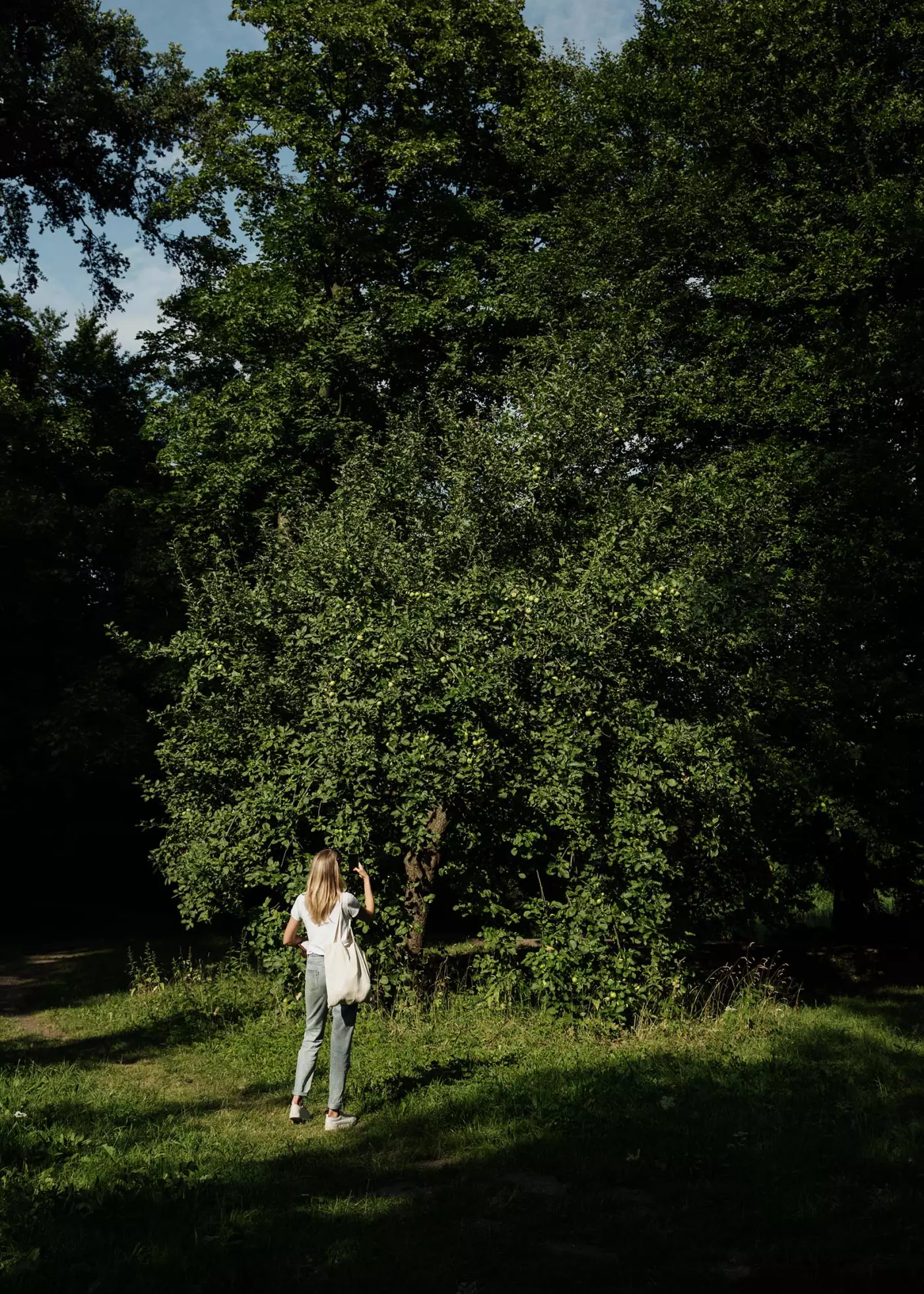 © Matthias Oertel portfolio image