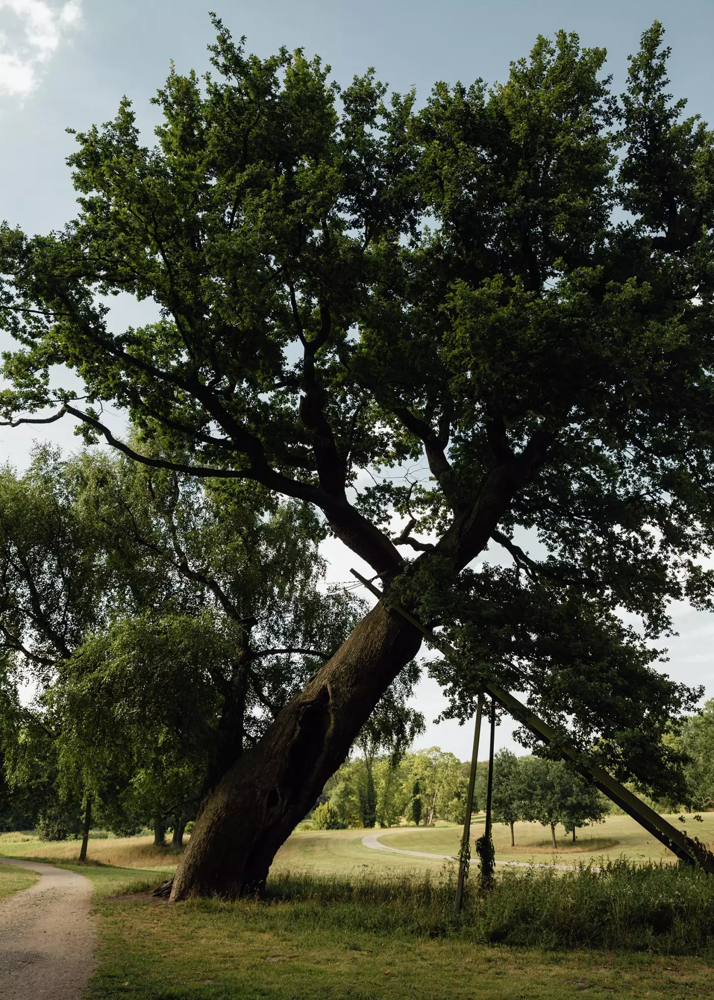 © Matthias Oertel portfolio image