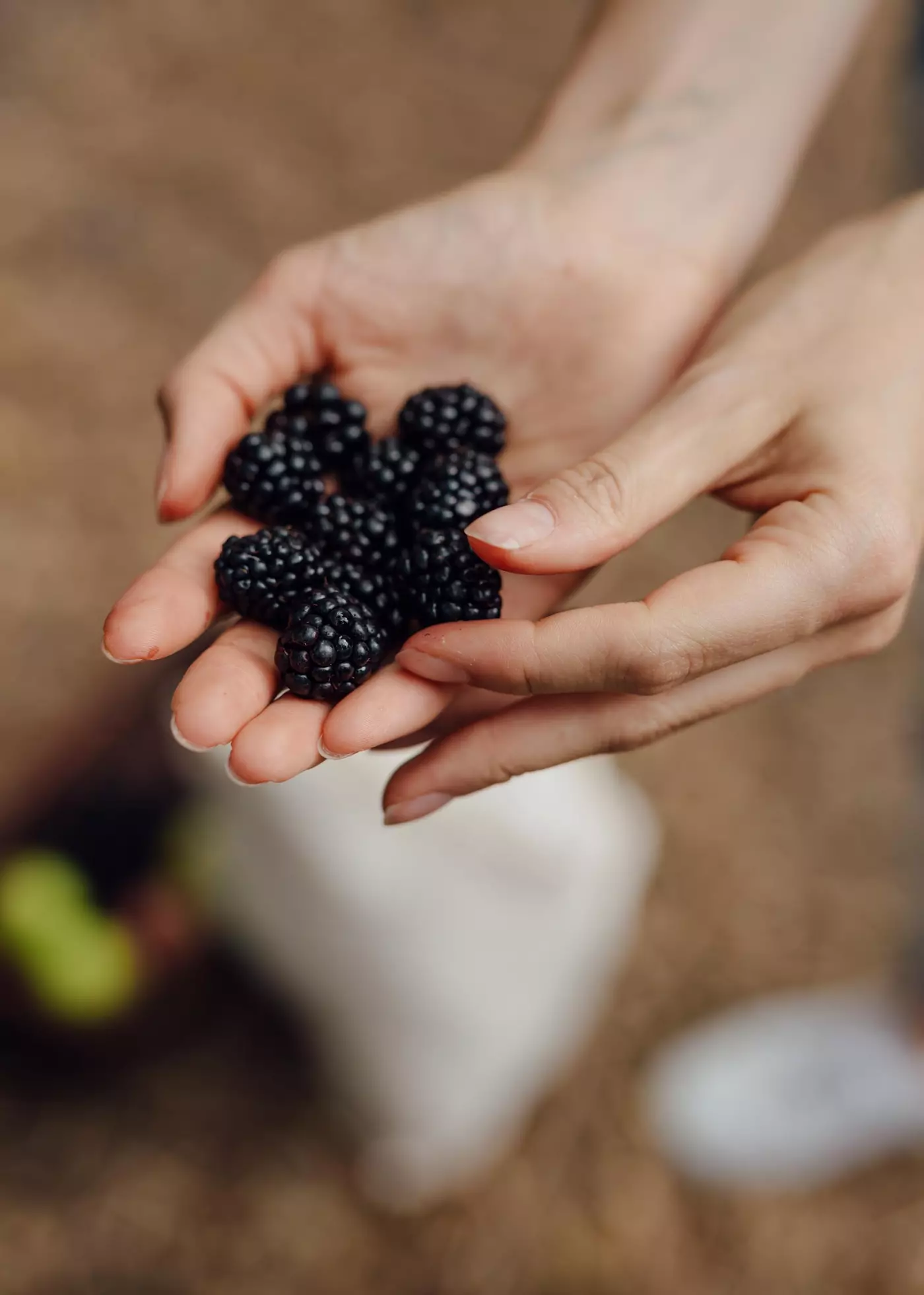 © Matthias Oertel portfolio image