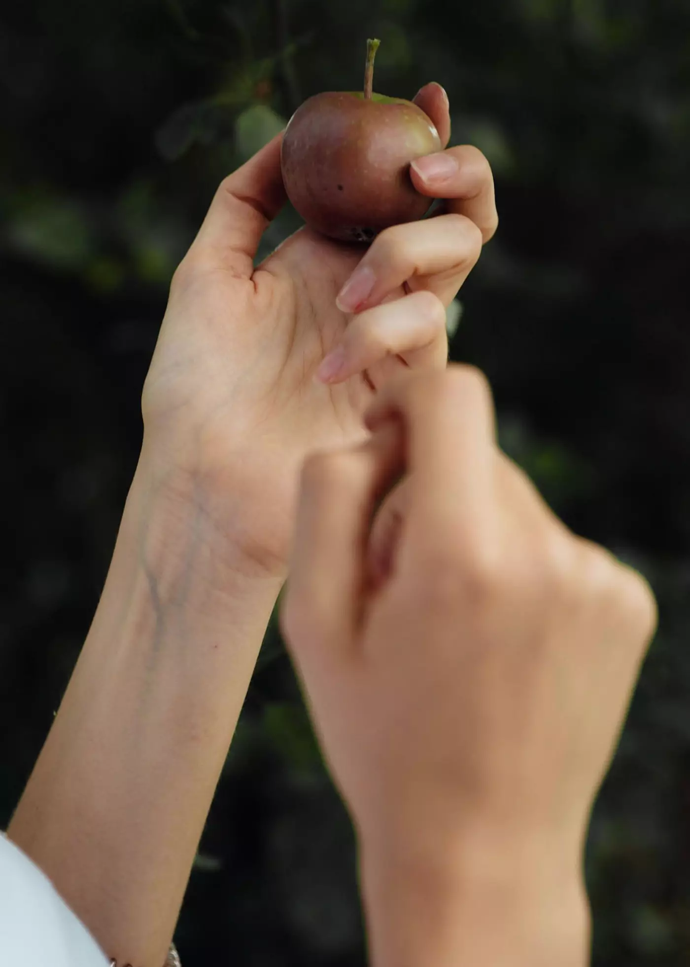 © Matthias Oertel portfolio image