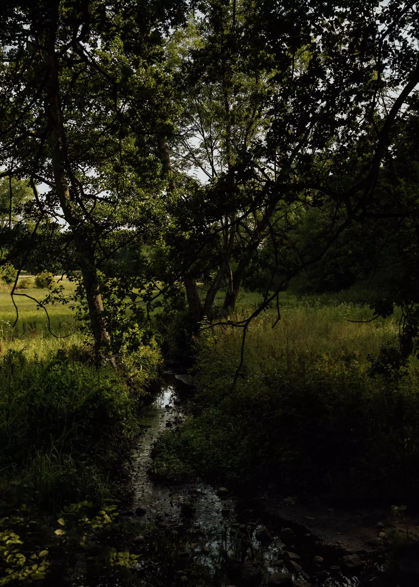 © Matthias Oertel portfolio image